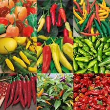 Chilli pepper seeds for sale  WORTHING