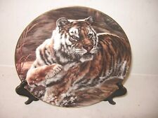 Tiger wild cat for sale  WELLINGBOROUGH