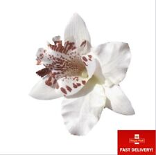 White orchid flower for sale  SOLIHULL