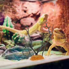 Bearded dragon tank for sale  Shipping to Ireland