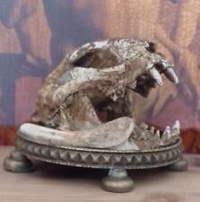 Replica cat skull for sale  NEWTON ABBOT