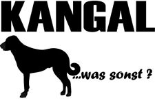 Adesivo kangal sticker usato  Spedire a Italy