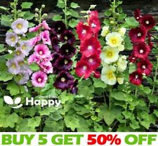 Hollyhock single mix for sale  DONCASTER