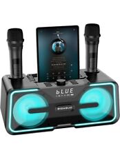 Portable bluetooth karaoke for sale  Northfield