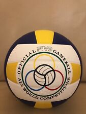 Mikasa pallone pallavvolo usato  Roma