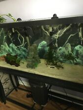 Fish tank for sale  Canal Winchester