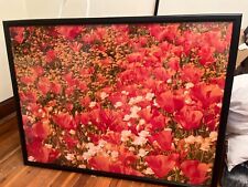 Sprinkling poppies large for sale  Jefferson City