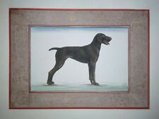 Used, Labrador Dog Animal Painting Handmade Miniature Artwork On Paper With Border for sale  Shipping to Canada