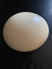 Authentic Ostrich Egg shell Off White Plain - Perfect For Painting Cleaned Ready for sale  Shipping to South Africa