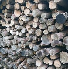 Brennholz buche esche gebraucht kaufen  Bad Peterstal-Griesbach