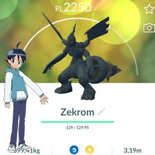 Pokémon zekrom registered usato  Ferrara
