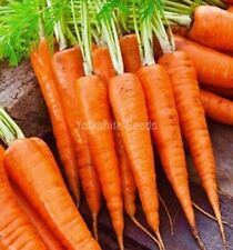 Carrot eskimo 700x for sale  DEWSBURY