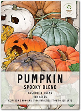100 spooky blend for sale  Denver