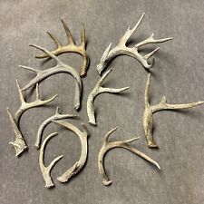 Lot whitetail deer for sale  Radcliffe