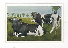 22/522 Collectible Figure Cow Cattle Fleck Black/White-ELEC stdeb AF JYSK Race till salu  Toimitus osoitteeseen Sweden
