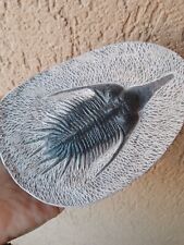 Fossili grande trilobite usato  Pontedera
