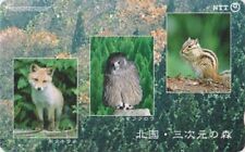 Japon animal ecureuil d'occasion  Mâcon