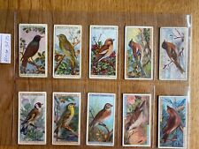 wills cigarette cards full set British Birds 1917 for sale  SHREWSBURY