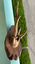 Antler wooden tree for sale  Pompano Beach