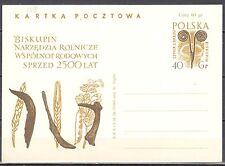 Poland 1964 -  archeology Biskupin -  Cp 259 -  postcard - unused na sprzedaż  PL