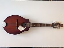 Seagull mandolin burnt for sale  SOUTHAMPTON