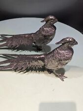 silver pheasant for sale  CIRENCESTER