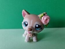 Lps littlest pet for sale  DERBY