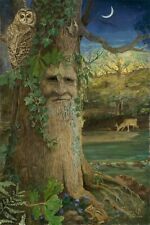 Wise old oak for sale  Smyrna