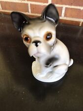 French porcelain bulldog for sale  Pensacola