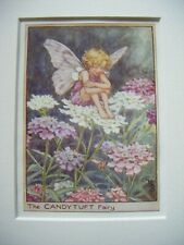 Vintage flower fairies for sale  TELFORD