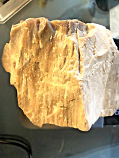 Large petrified wood for sale  Carson City