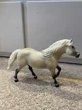 highland pony for sale  COLCHESTER
