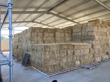 Small hay bales for sale  HUNTINGDON