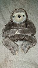 Three toed sloth for sale  STOKE-ON-TRENT