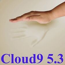 Cloud9 5.3 cal for sale  Topeka