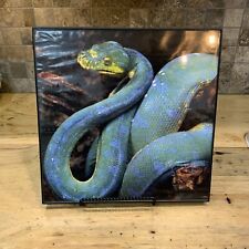 Green tree python for sale  Plymouth