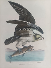 1863 petraroia rapaci usato  Marano Di Napoli