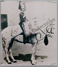 Military photograph 6th for sale  REDCAR