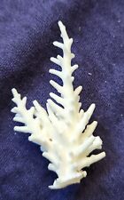 Real coral skeleton for sale  Newbury