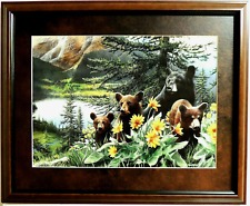 Black bear brown for sale  Patterson