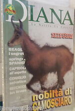 Diana 2000 coniglio usato  Salerno