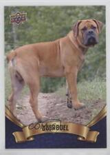 2018 Upper Deck Canine Collection Blue Boerboel #189 f5g for sale  Shipping to South Africa