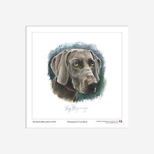 Weimaraner limited edition for sale  SLEAFORD