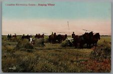 Postcard harvesting scene for sale  REDCAR