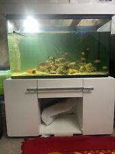 Fish tank malawi for sale  LEICESTER