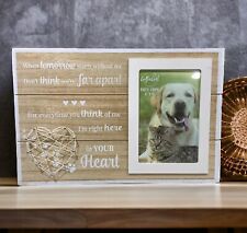 Pet remembrance picture for sale  Port Orchard