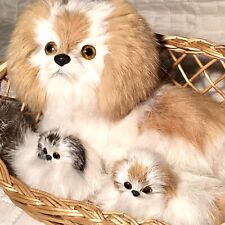 Vintage mother pomeranian for sale  Saint Paul