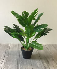 blumen gebraucht kaufen blumen gebraucht kaufen Herne