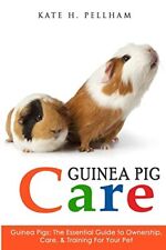 Guinea pigs essential for sale  Denver