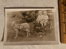Early 1900 goat for sale  Shipping to Ireland